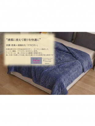 ネイビー ぽかぽか 吸湿発熱 2Way (抗菌・防臭+消臭わた使用)毛布兼布団カバーを見る