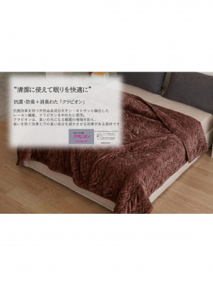 レッド ぽかぽか 吸湿発熱 2Way (抗菌・防臭+消臭わた使用)毛布兼布団カバーを見る
