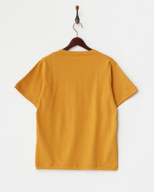 Mustard 　Tennessee Cotton ショートスリーブ Tシャツ　DOORSを見る