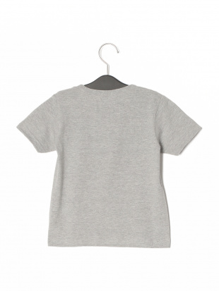 GRAY Schleich Dino EARTH T-shirtsを見る