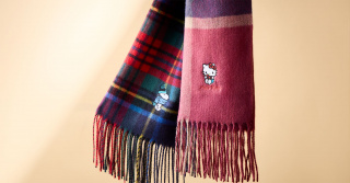 Autumn Accessory